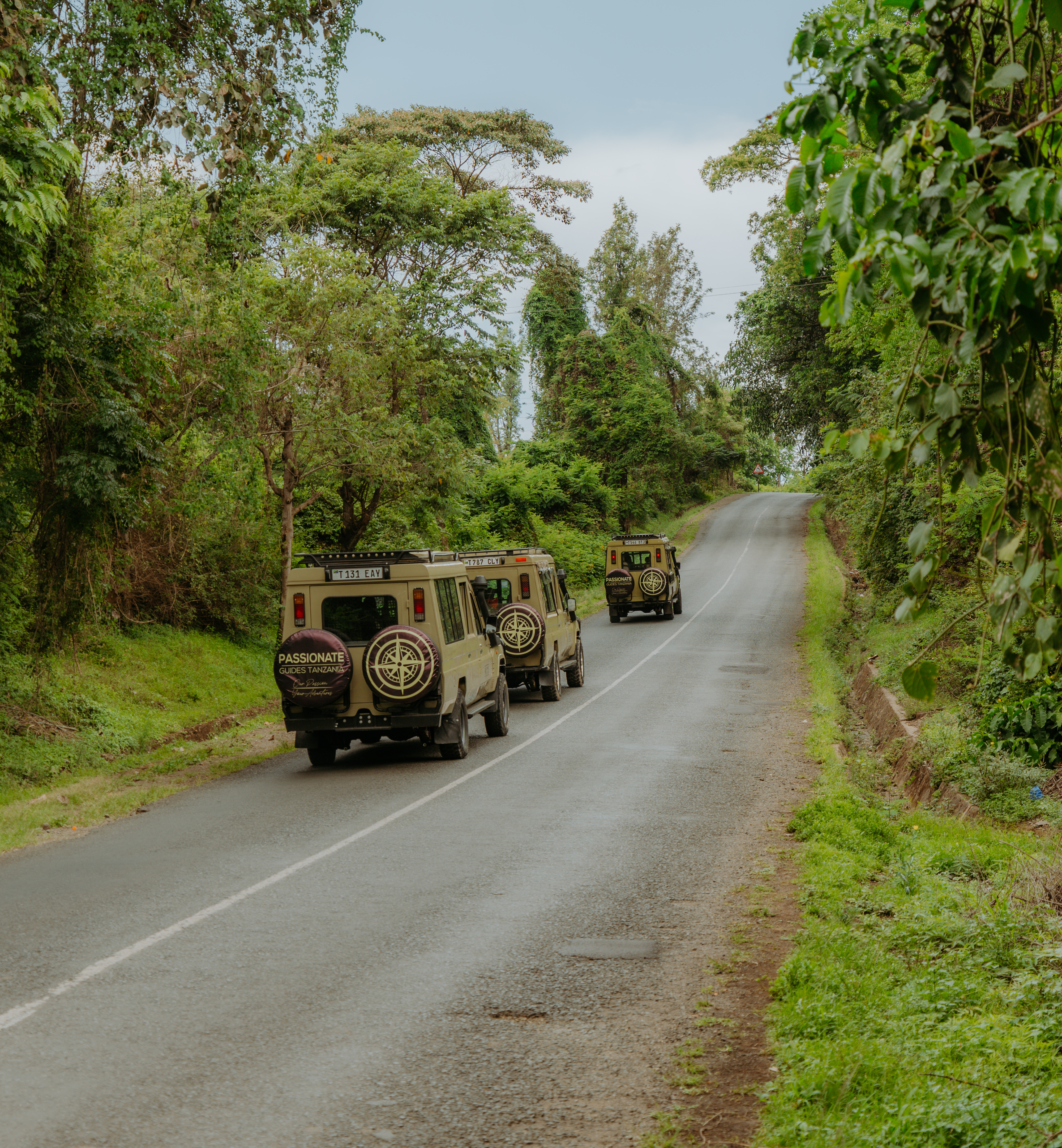 Safari vehicle driving through the wild