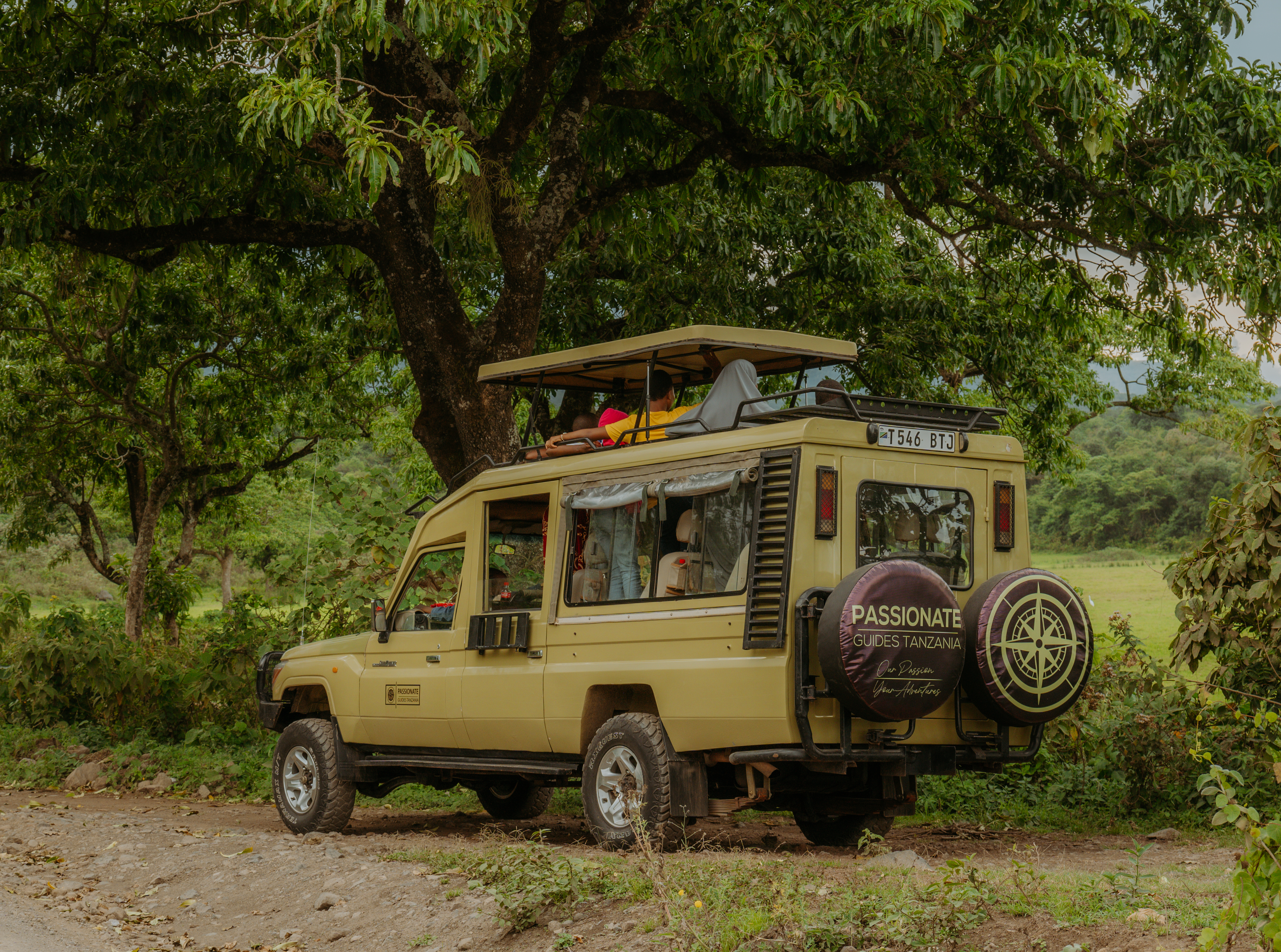 Safari vehicle interior seating