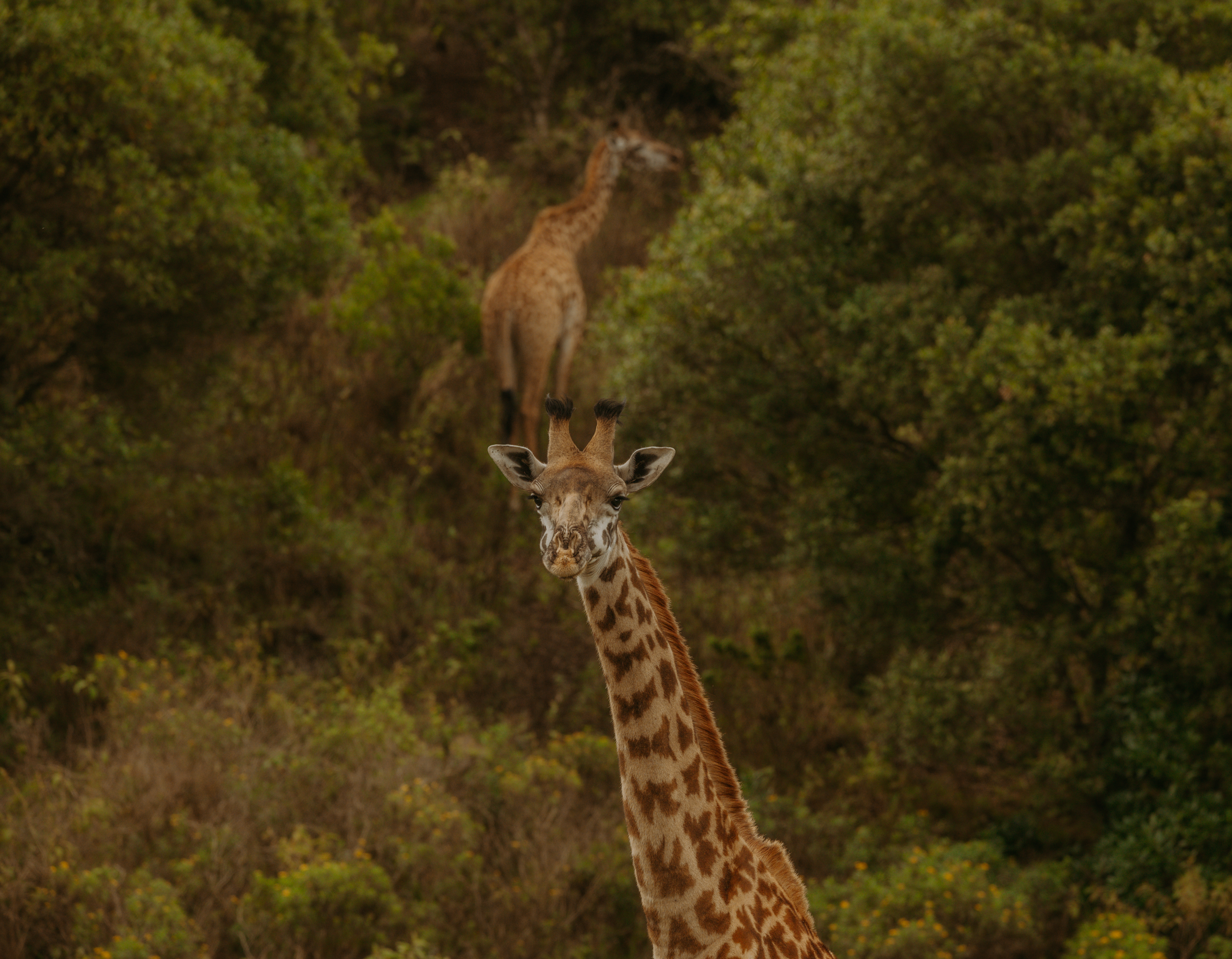 Passionate Guides Blog