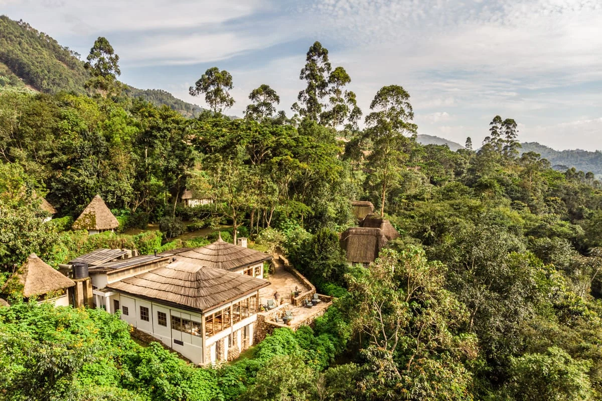 Bwindi Lodge, Uganda · Bwindi Forest