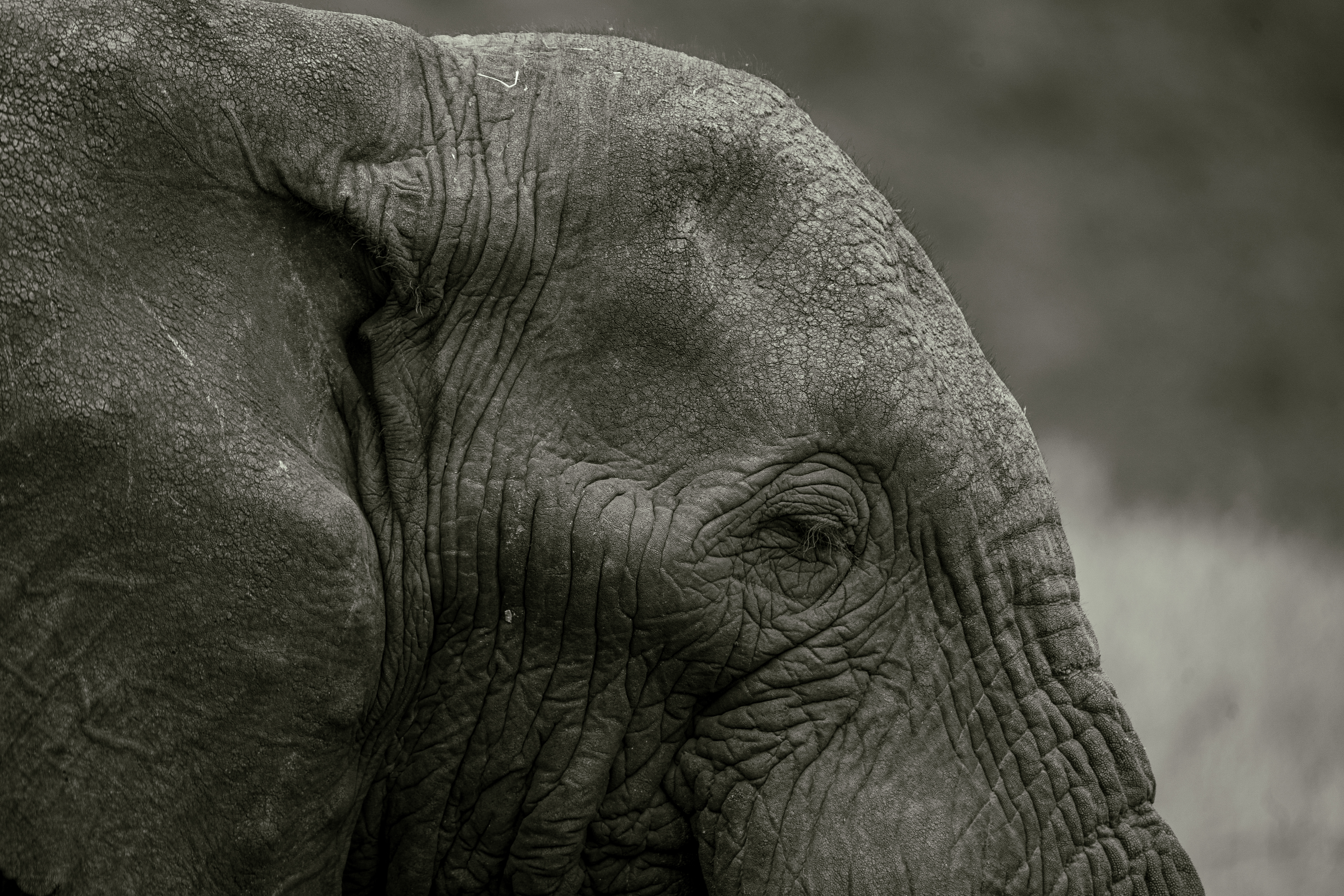 Luxury Office Concierge