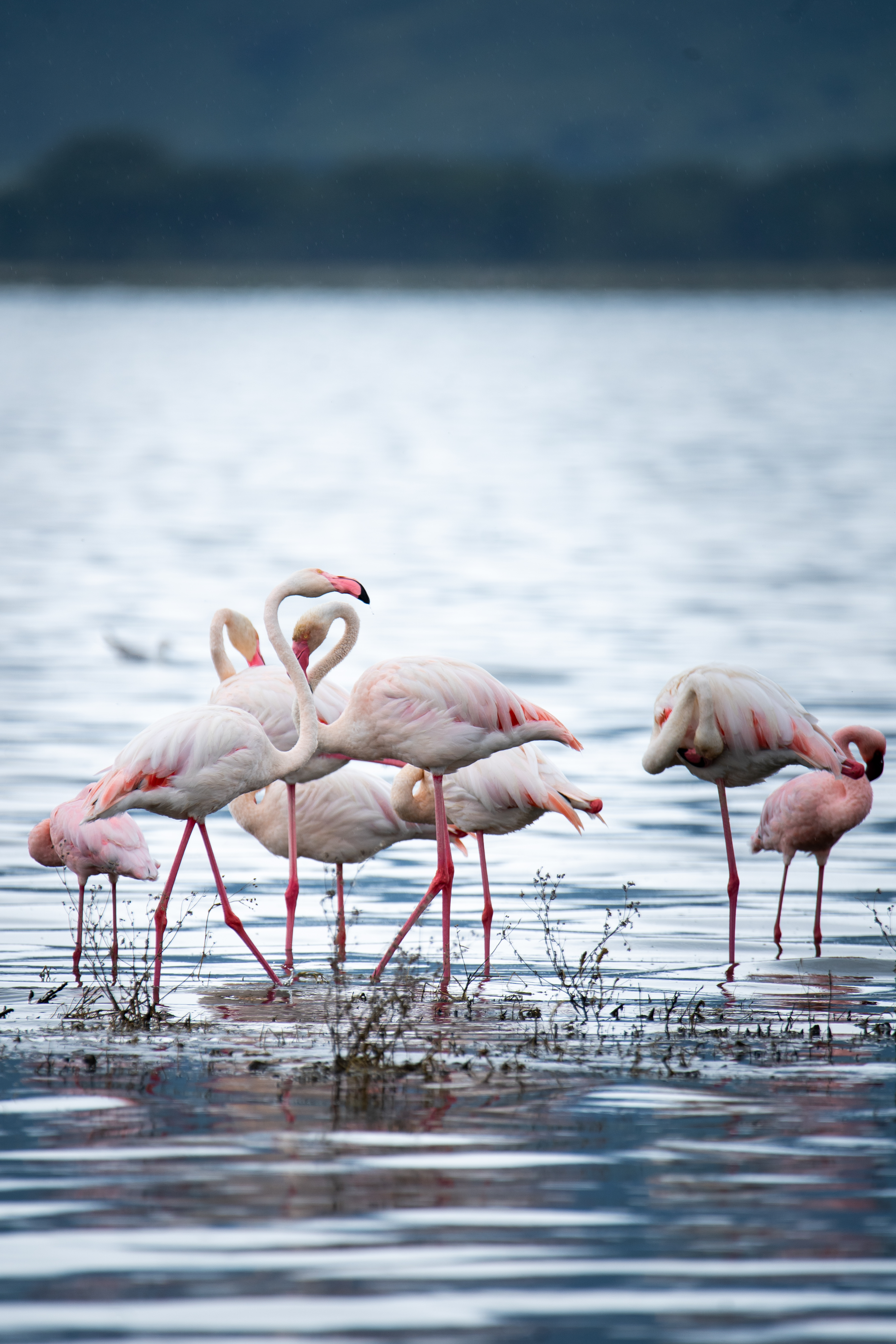 Ngorongoro crater landscape