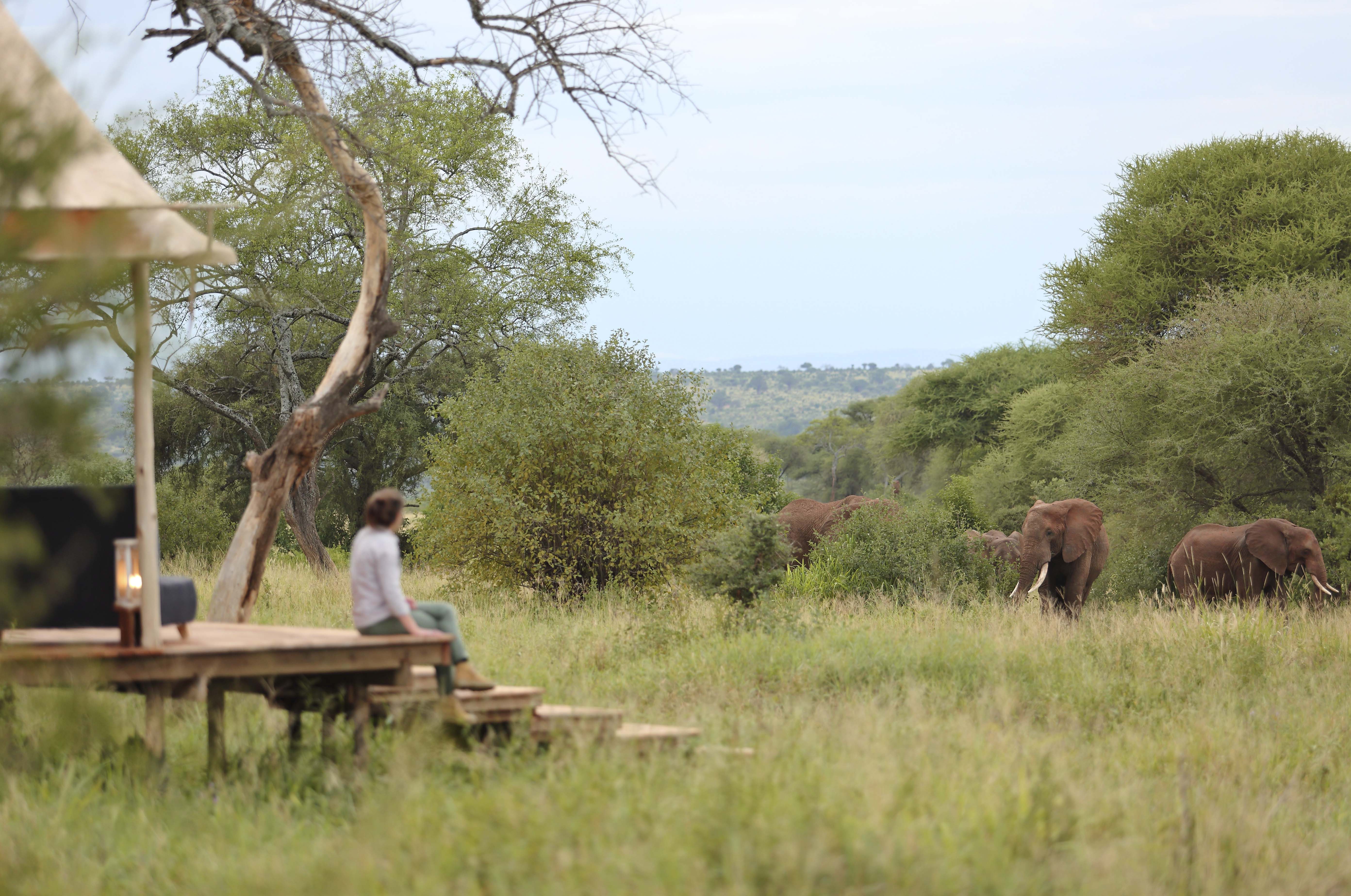 Best Tanzania safari