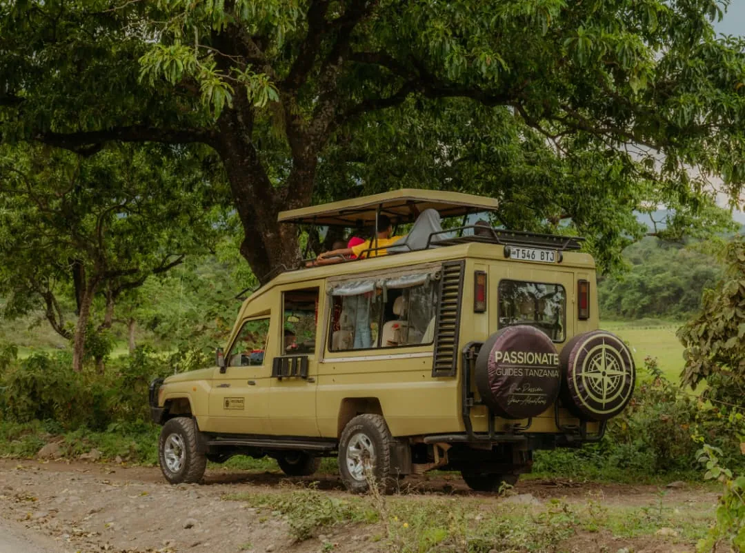 Tanzania Family Safari Tour Packages: Everything You Need to Know Before Booking