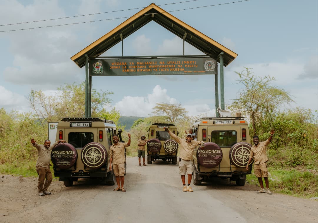 Why Choose Family Safari in Tanzania Packages for Your Next Vacation?