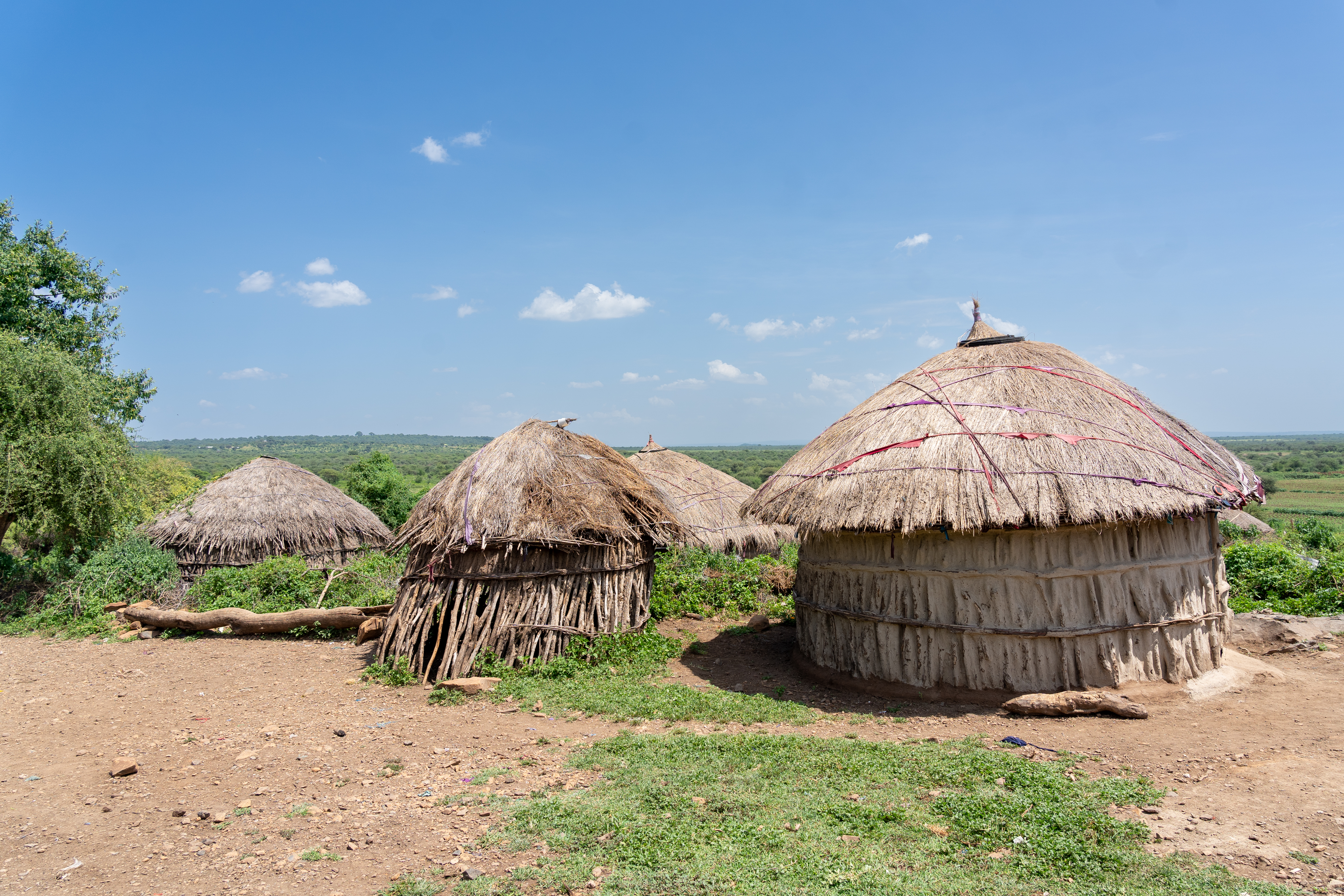 Complete Guide to Tanzania Safari Tours for First-Time Travelers