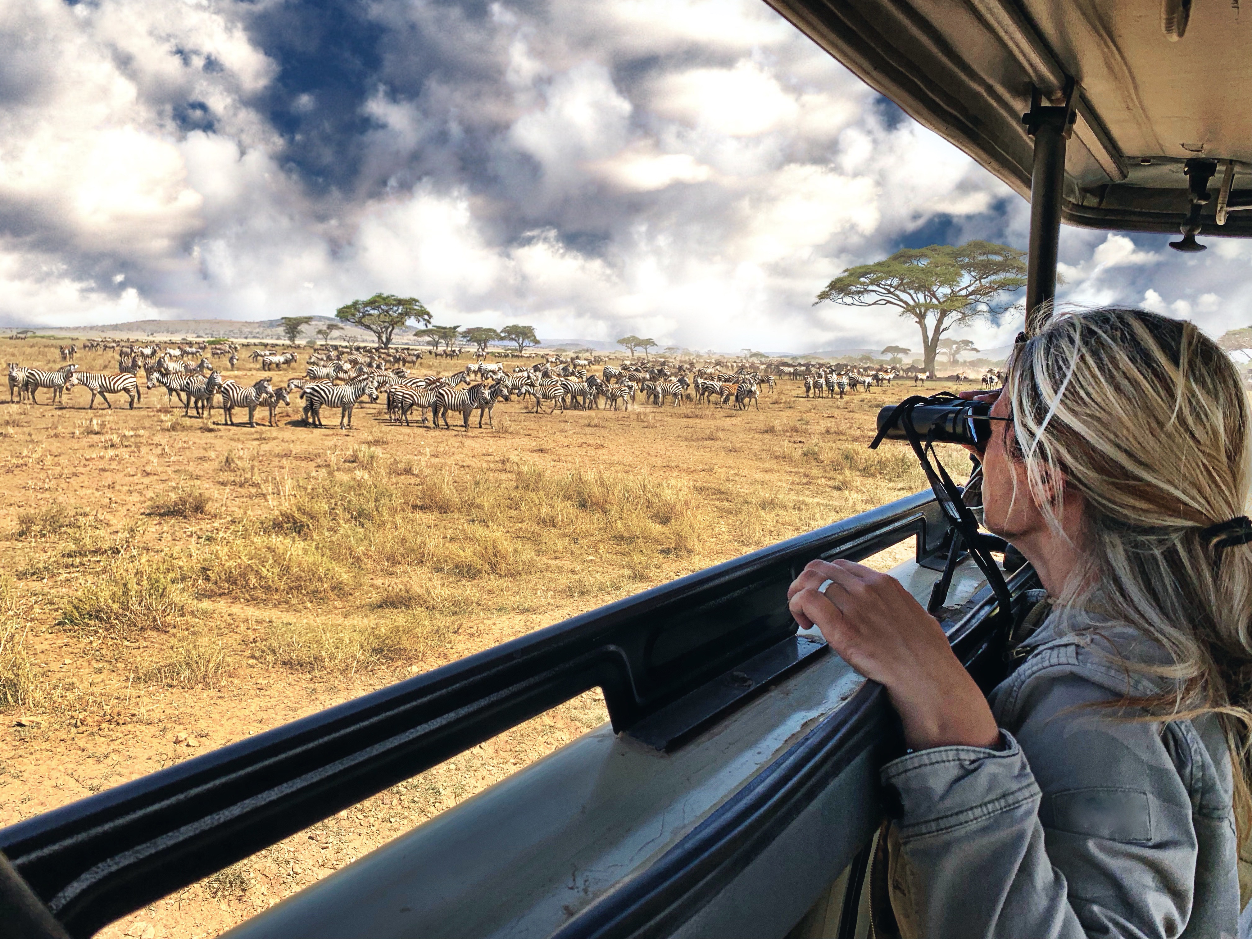 Kenya and Tanzania Safari Itinerary: Best Parks, Wildlife & Travel Tips