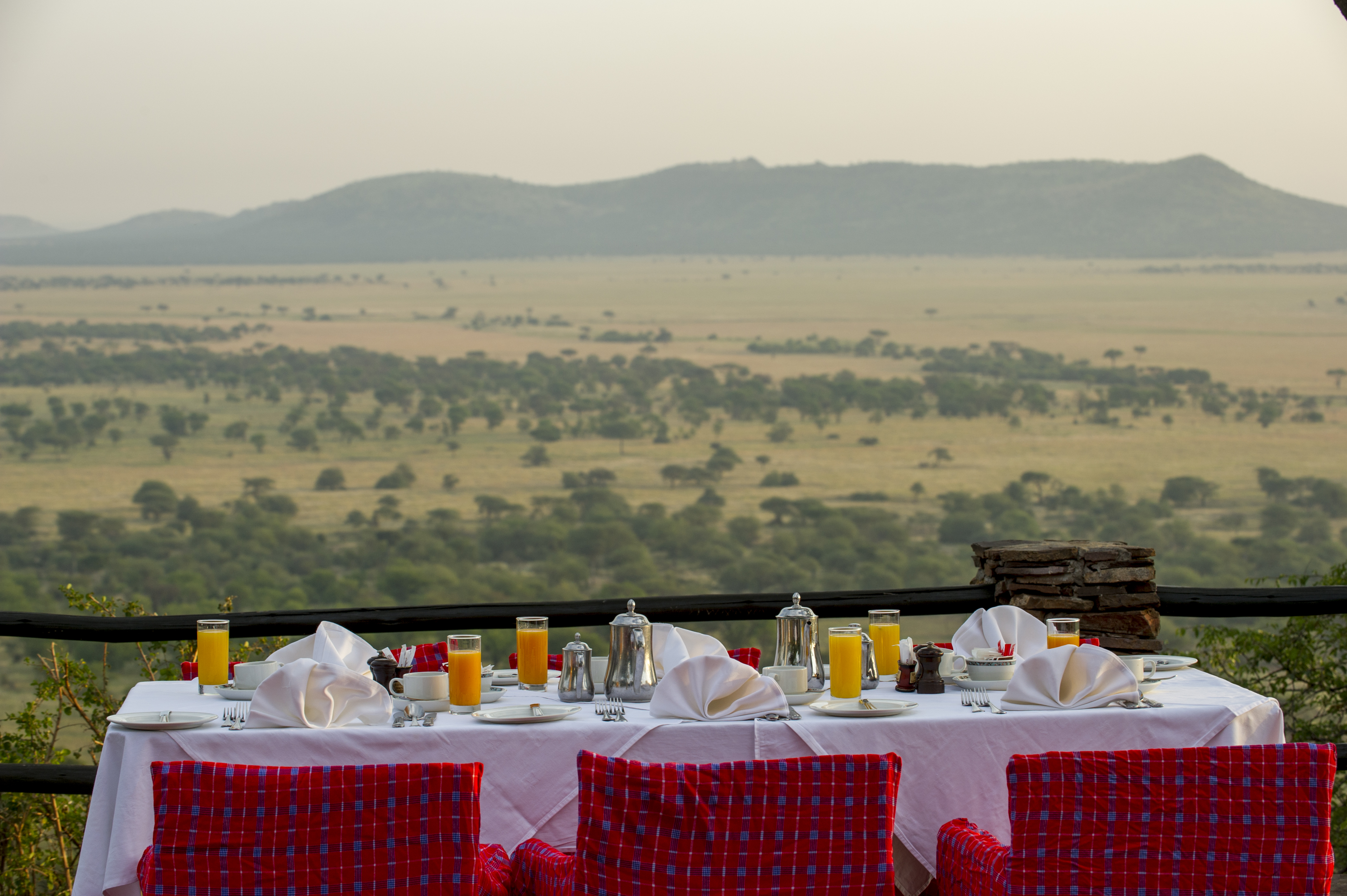 Serengeti National Park Safari Tours in Tanzania: Everything You Need to Know Before Booking
