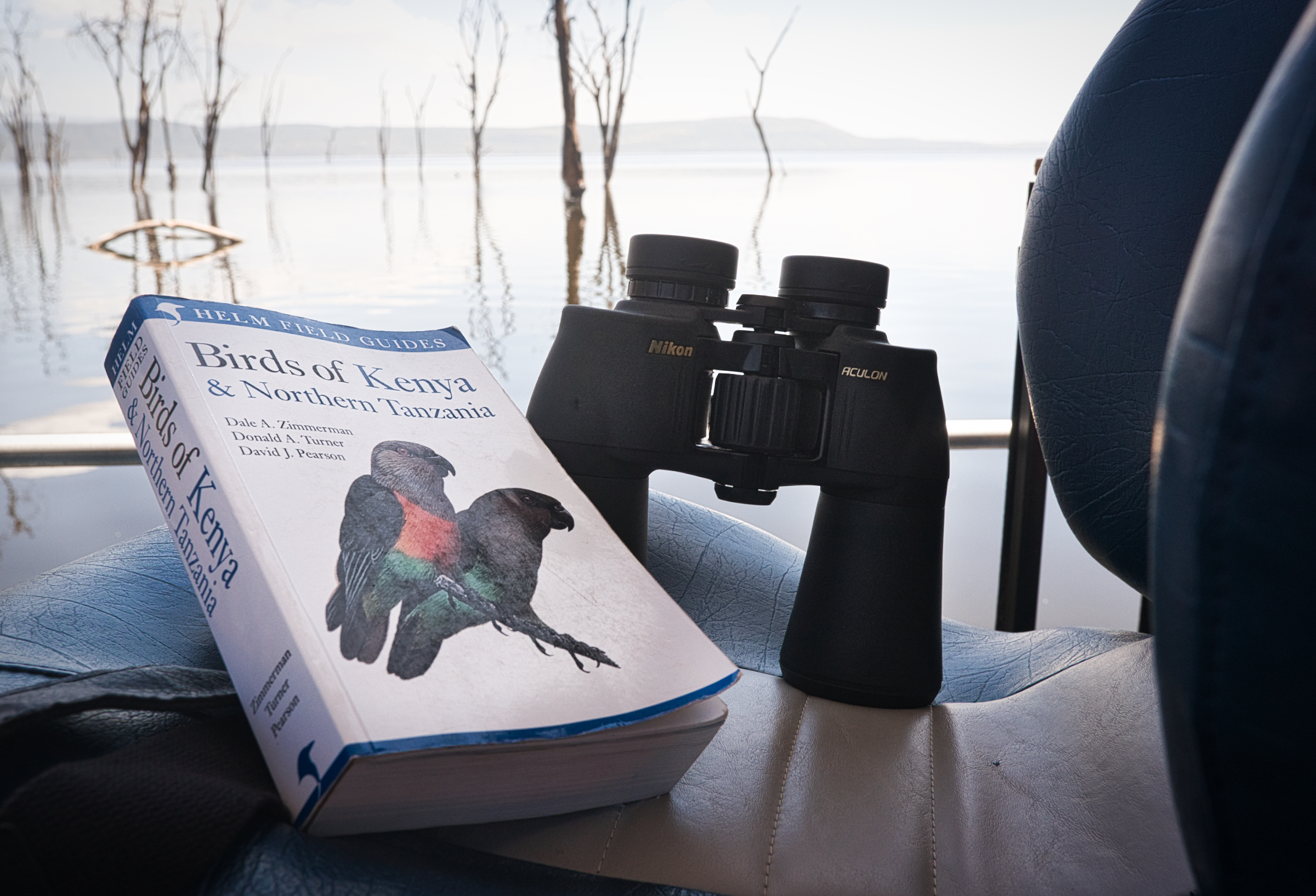 Cost of Safari in Kenya: Prices per Day, Budget to Luxury