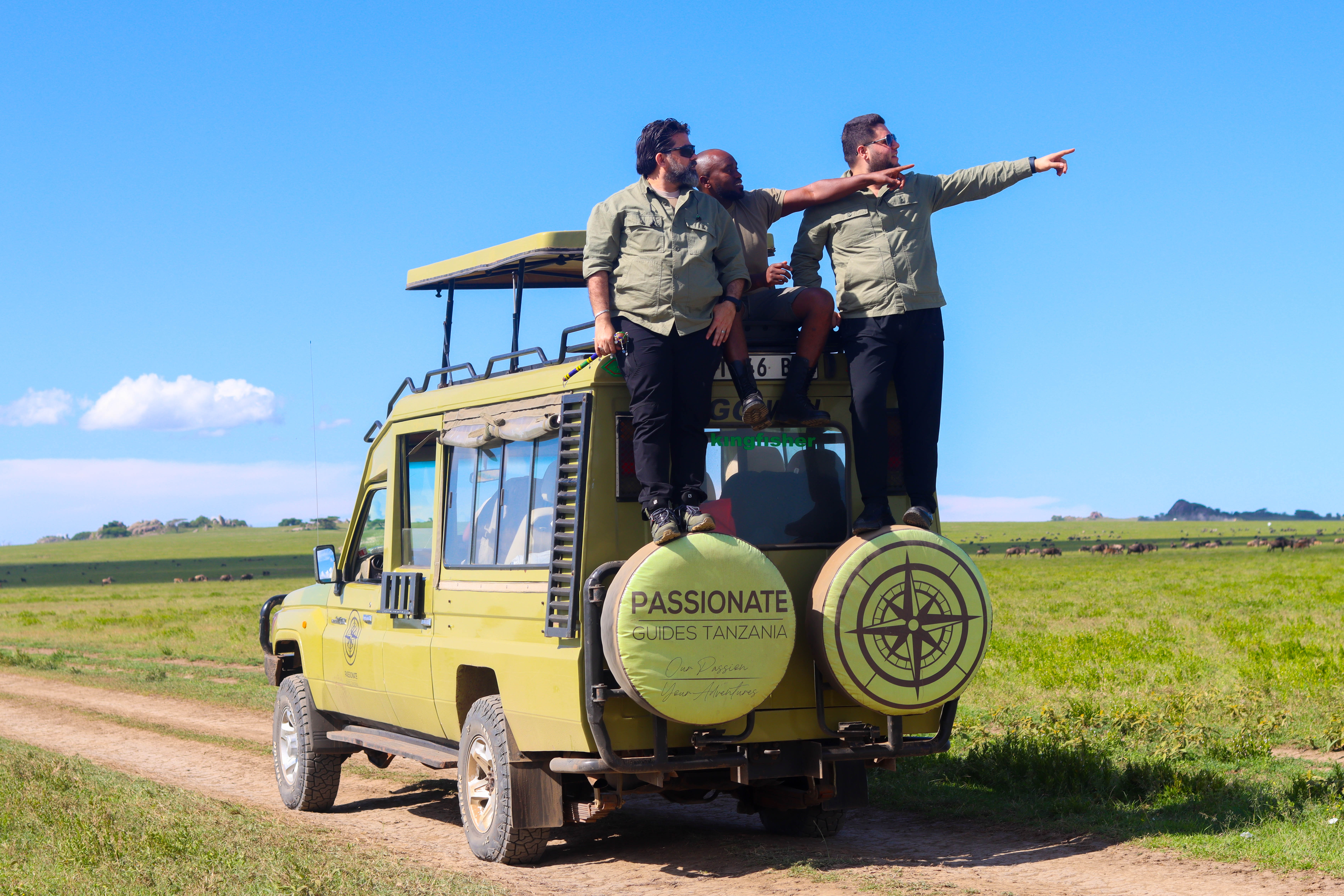 Safari Packages in Tanzania: 7 Top Itineraries and Prices
