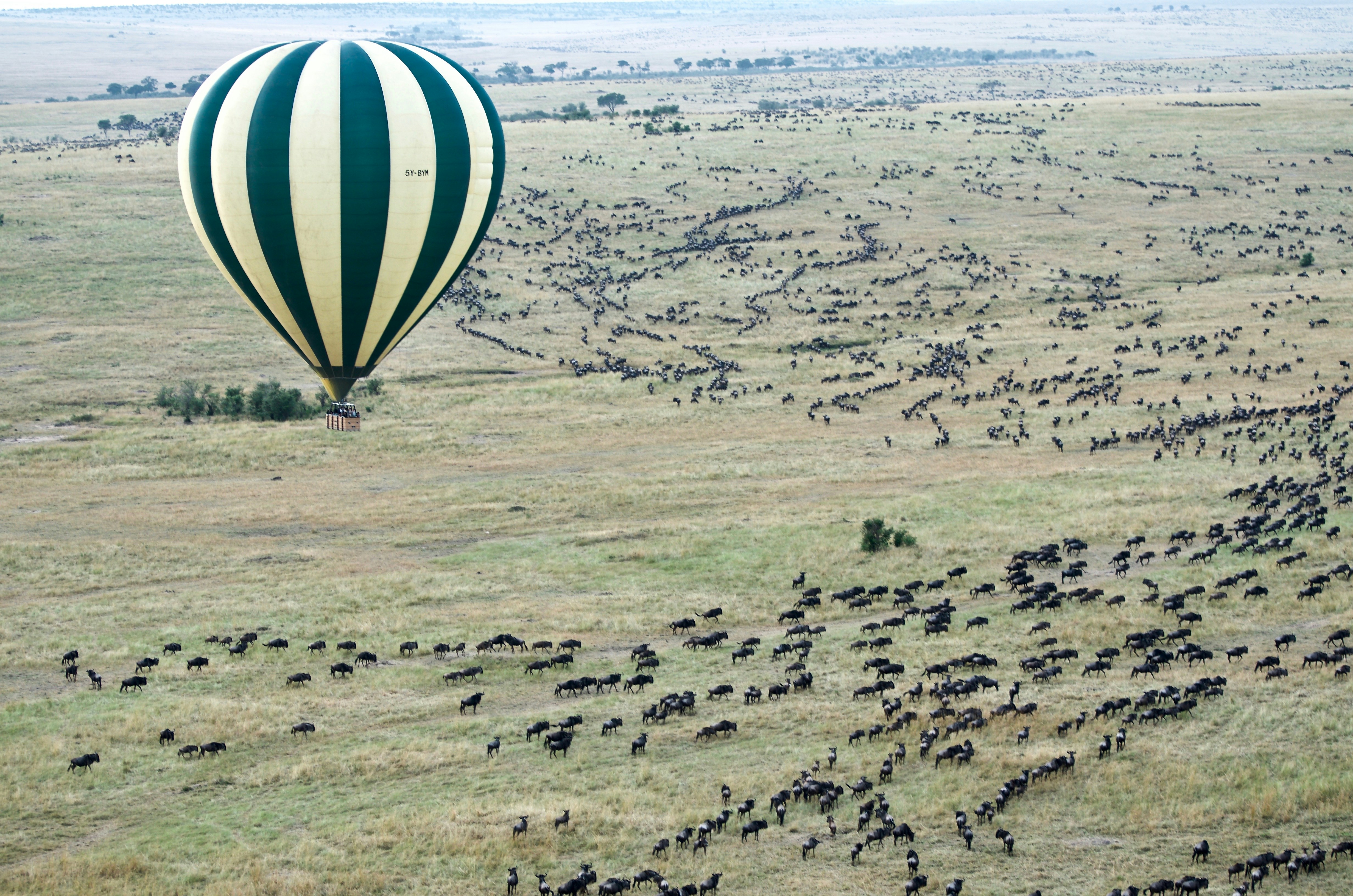 Affordable Kenya and Tanzania Safari Holidays for Every Budget