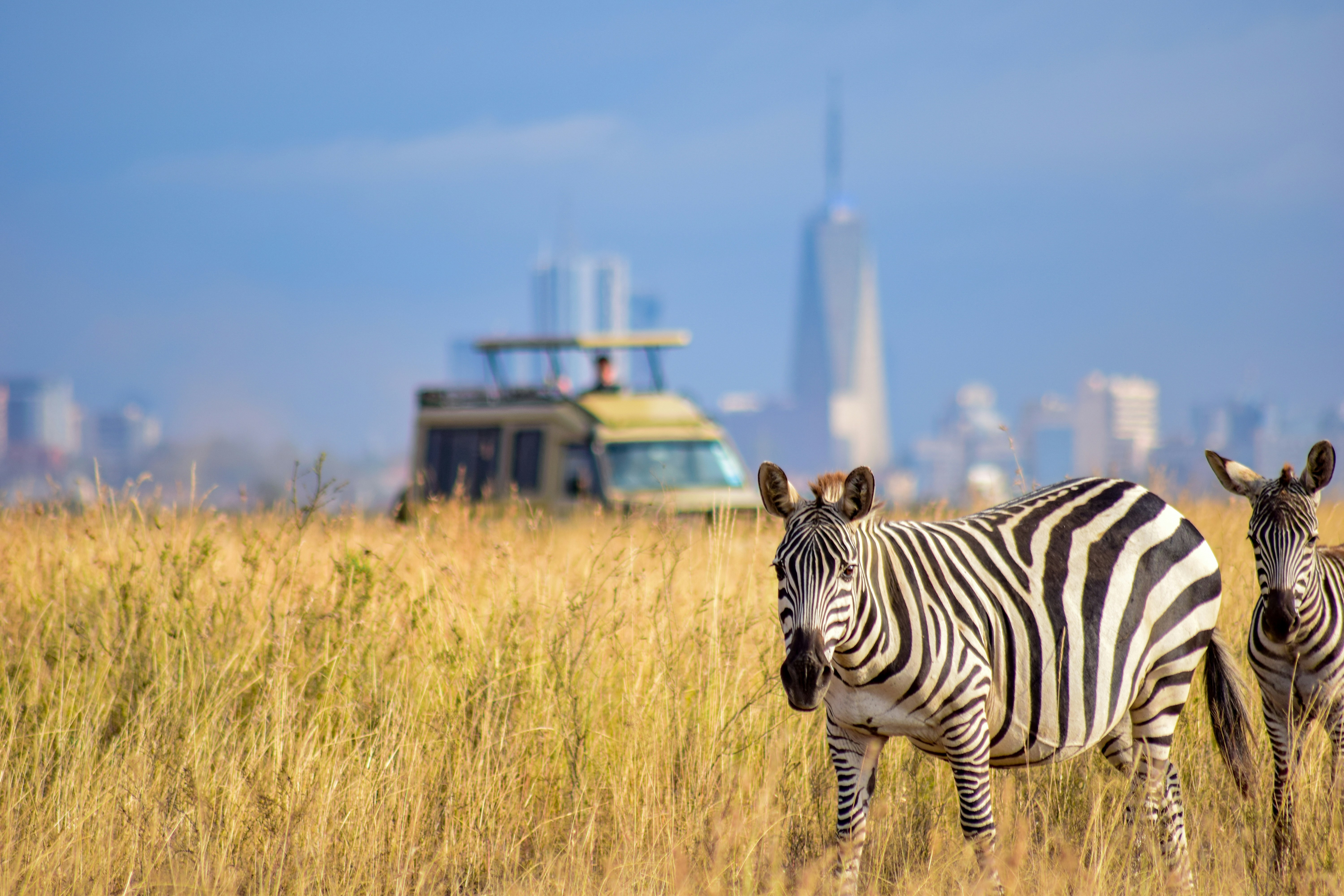 5 Ways to Do a Kenya Safari in Nairobi National Park